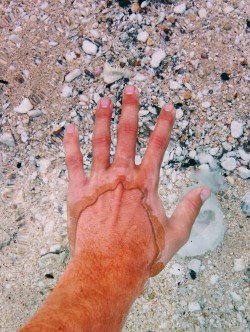 This is how it looks when you put your hand in the ultra-clear water of the Flathead Lake in the USA