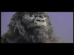 Cadbury Gorilla – In The Air Tonight (Extended Mix) – YouTube