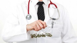 Can Cannabis Cure Cancer?