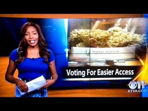 KTVA reporter quits on-air, reveals herself as owner of Alaska Cannabis Club – YouTube