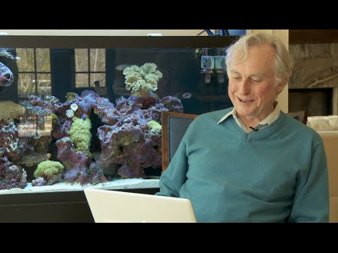 Love Letters to Richard Dawkins – YouTube