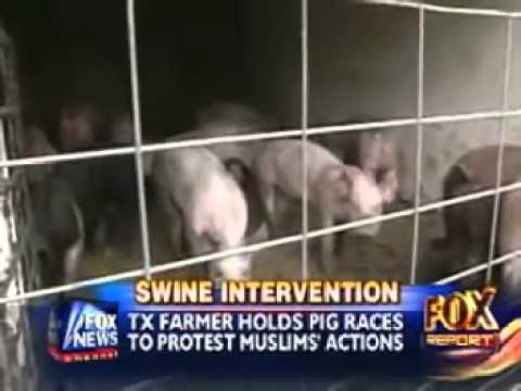 New mosque Construction, and the Texas reaction: Friday prayers PIG RACES..! – YouTube