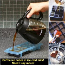 Coffee ice cubes in ice cold milk … Mmmm