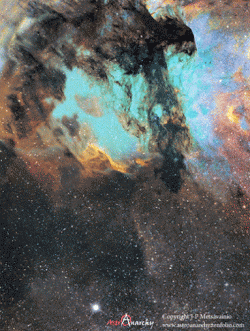 3D Nebulae