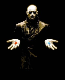 Which did you choose?