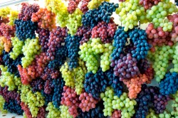 Rainbow Grapes