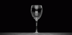 Wine Glass Shot