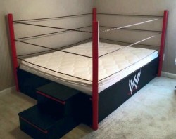 For the kid who loves wrestling