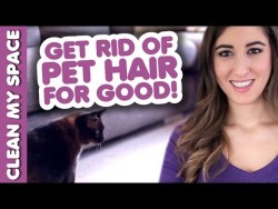 Clean Pet Hair for GOOD! How to Clean Up After Your Pets: Easy Cleaning Ideas (Clean My Space) & ...