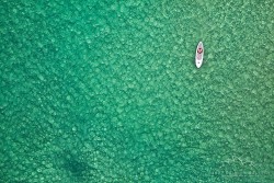 Bondi Paddleboarder