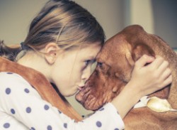 Dog Germs May Be Good For Us, And Here’s Why