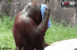 Need a bit of a wash