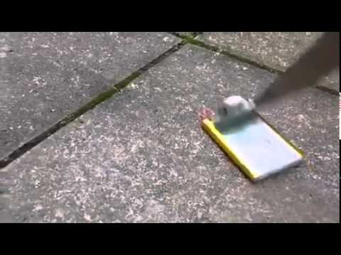 Poking a phone battery with a knife results in explosion – YouTube