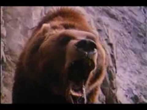 The Bear (1988) – Official Trailer [SD] – YouTube