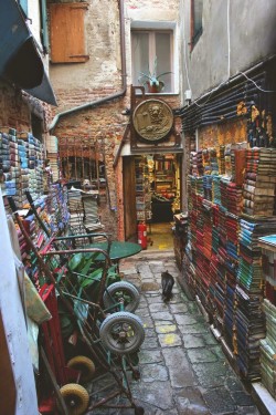 Bookstore in Venice