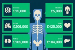How Much Is The Human Body Worth? | IFLScience