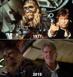 Chewie hasn’t aged a day