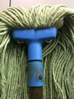 I am mop