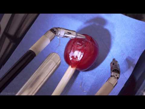 da Vinci Robot Stitches a Grape Back Together – YouTube