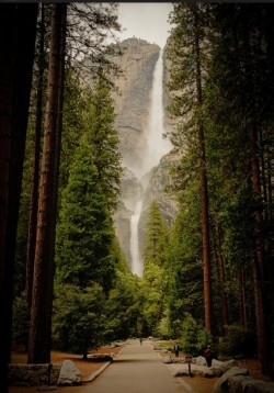 Vernal Falls, Yosemite National Park, California / usa