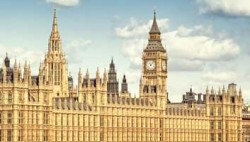 Everyone thick as pig shit