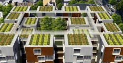 France Declares All New Rooftops Must Be Topped With Plants Or Solar Panels | CSGlobe