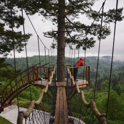 Man Quits City Job To Live Inside A Massive Treehouse | The LAD Bible