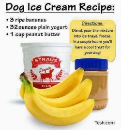 For pampered pooches