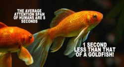 [Study] The Human Attention Span Is 8 Seconds – Less Than A Goldfish! | True Activist