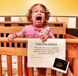 These 29 Families Know Exactly How to Tell the World They’re Having a Baby. Hilarious… | 2 ...