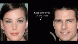 GIF demonstrating how whacked your peripheral vision really is.