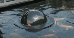 Submersible for fish?