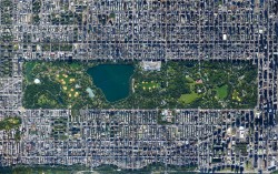 The oasis of green that is New York’s Central Park