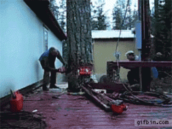 Millimeter precision tree felling