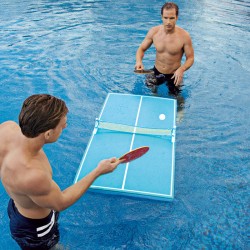 Floating Ping Pong Tables at Brookstone—Buy Now!