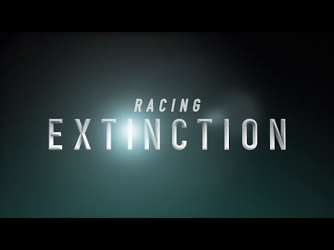 “Racing Extinction” Official Festival Trailer – YouTube