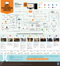 Which Programming Language Should I Learn First?