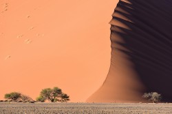 Namib Desert, dune sea