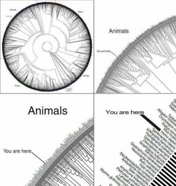 Friendly Reminder: Humanity is Just a Blip in the Vast Sea of the Cosmos