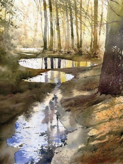 Amazing watercolour