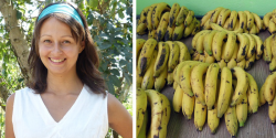 This Woman Ate Nothing But Bananas For 12 Days, Here’s What Happened
