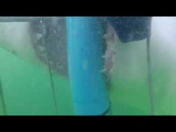 Best Shark Attack Video – gigantic Great White Shark in South Africa while Cage Diving  ...