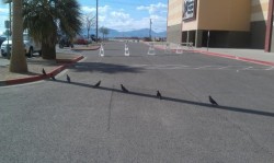 You know its hot when ….