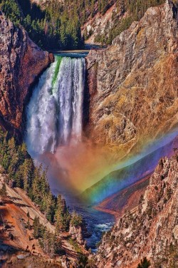 Yellowstone National Park, Teton County, Wyoming