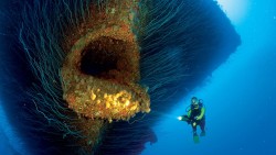 The bow of this sunken ship looks like a giant fish’s mouth.