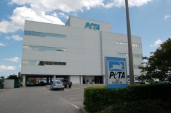 Shocking Photos: PETA’s Secret Slaughter of Kittens, Puppies | Nathan J. Winograd