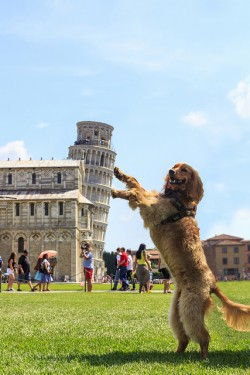 Oh, good. Another “holding up the Leaning Tower of Pisa” pic.