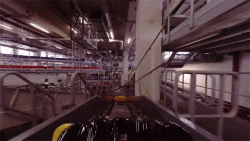 Where Your Luggage Goes After You Check It (And Why the Airline Keeps Losing It)