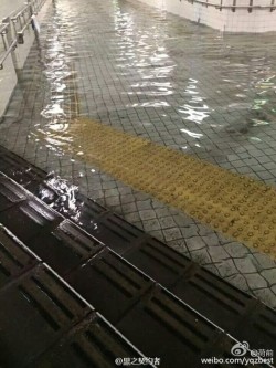 ‘Like a swimming pool’: Chinese netizens marvel at cleanliness of Japanese flood wat ...