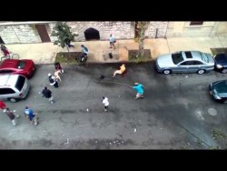 Out of control pit bulls – YouTube